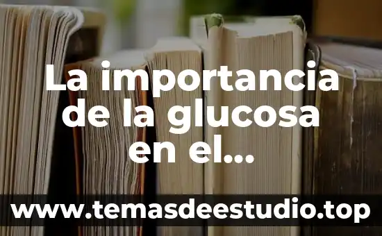 La importancia de la glucosa en el organismo