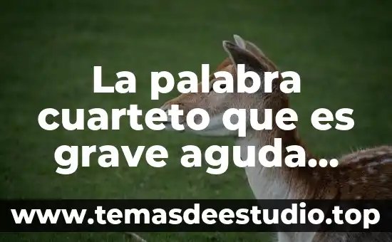 Música que es aguda grave o esdrújula 5 La palabra cuarteto que es grave aguda esdrujula