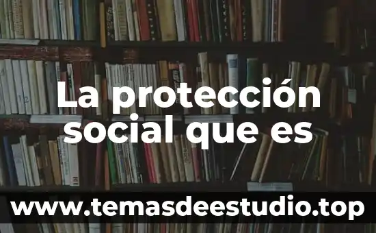 Protección civil para qué es 8 La protección social que es