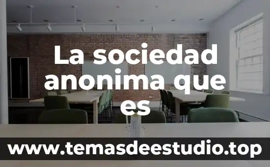 Que es una sociedad anonima bursatil de capital variable 3 La sociedad anonima que es