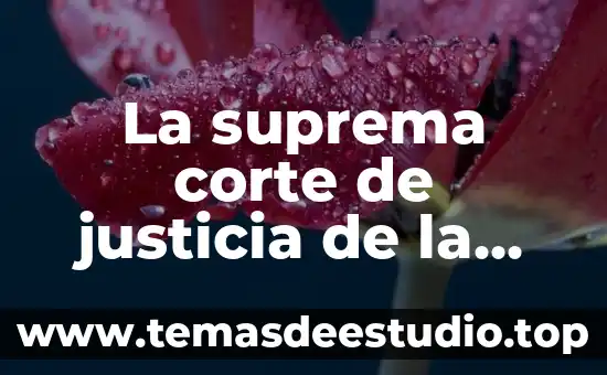 La suprema corte de justicia de la nación que es