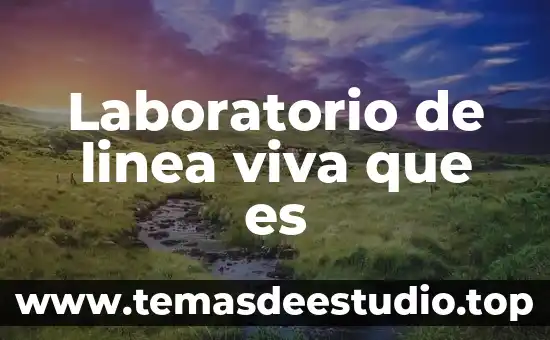 Qué es un instrumento de laboratorio concepto 4 Laboratorio de linea viva que es