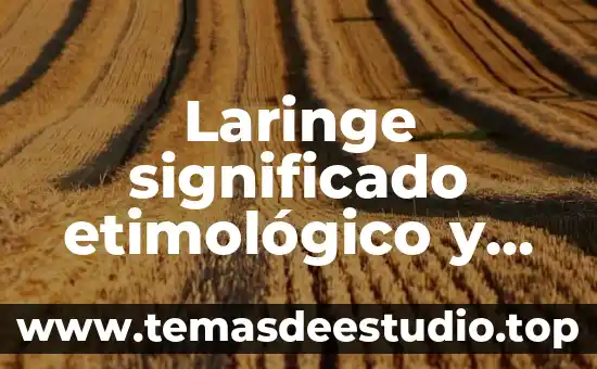 Que es interpolacion significado 7 Laringe significado etimológico y que es