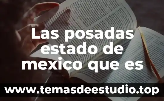 Qué es número de identificación del estado 8 Las posadas estado de mexico que es