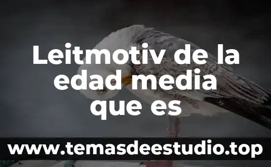 Leitmotiv de la edad media que es