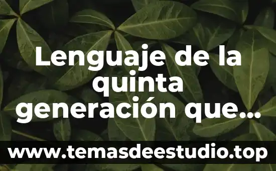 Lenguaje de la quinta generación que es