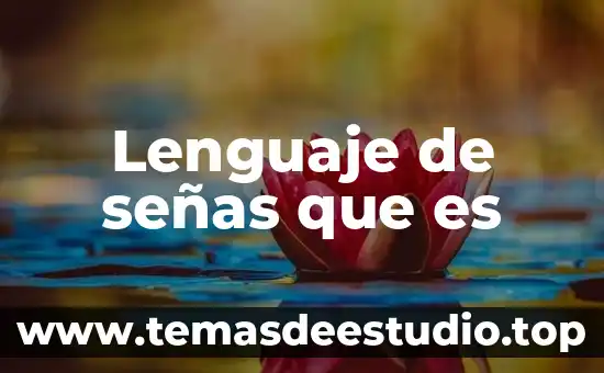 Que es el lenguaje a señas 3 Lenguaje de señas que es