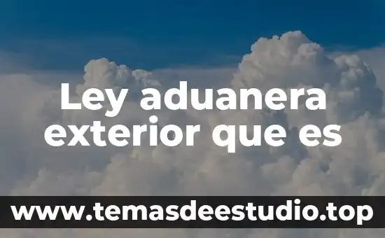 Ley aduanera exterior que es