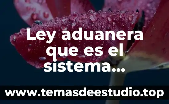 Ley aduanera que es el sistema armonizado