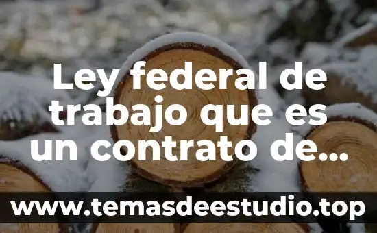 Ley federal de trabajo que es un contrato de promesa