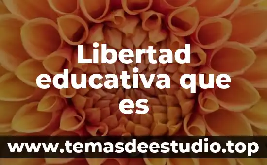 Libertad educativa que es
