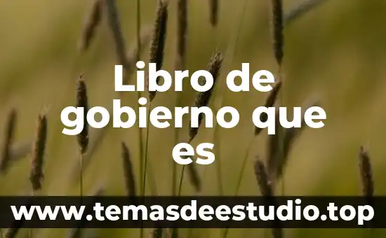 Libro de gobierno que es