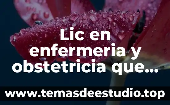 Lic en enfermeria y obstetricia que es