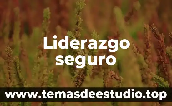 Liderazgo seguro