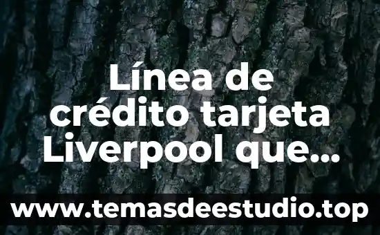 Qué es la tarjeta bansefi 8 Línea de crédito tarjeta Liverpool que es