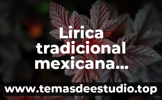 Qué es poesía según Rubén Darío 4 Lirica tradicional mexicana poesia que es