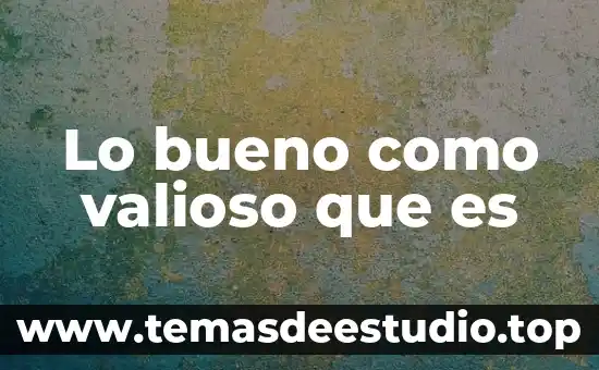 Que es una sociedad controladora filial 5 Lo bueno como valioso que es