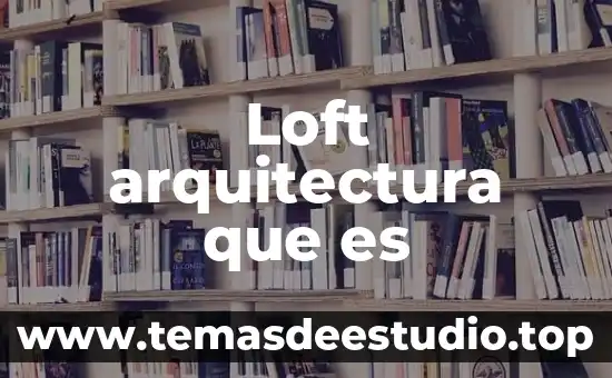 Loft arquitectura que es