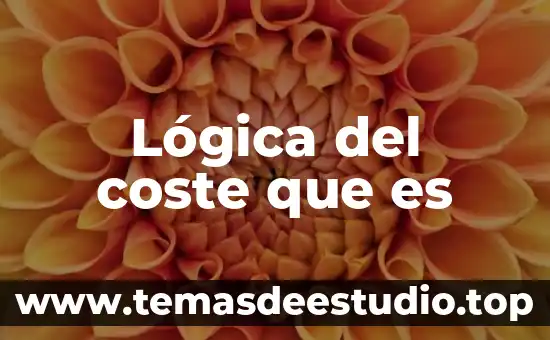 Lógica del coste que es