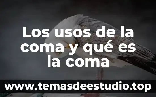 Que es el punto coma 3 Los usos de la coma y qué es la coma