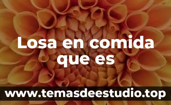 Qué es sol comida 8 Losa en comida que es
