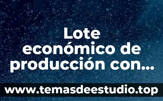 Concepto de que es lote por lote en inventarios 4 Lote económico de producción con déficit que es
