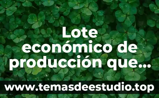 Concepto de que es lote por lote en inventarios 6 Lote económico de producción que es