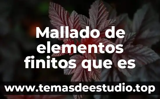 Conclusión de que es la publicidad 5 Mallado de elementos finitos que es