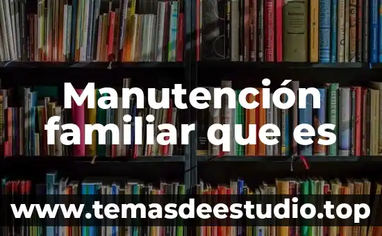 Que es la cultura de barrio 5 Manutención familiar que es