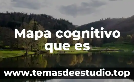 Que es en expresion del arte un cognitivo perceptual 4 Mapa cognitivo que es