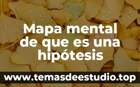 Qué es la hipótesis de investigación 6 Mapa mental de que es una hipótesis