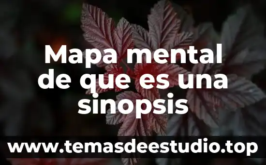 Mapa mental de que es una sinopsis