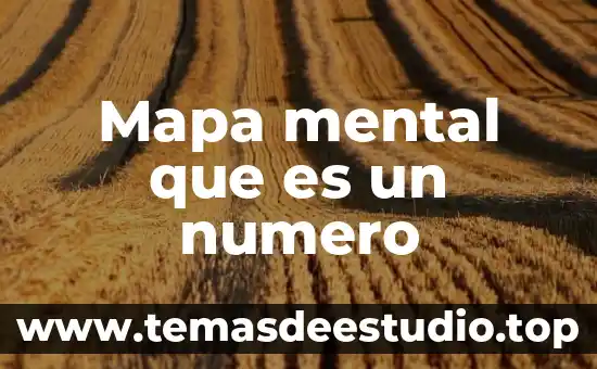 Que es representacion mental concepto 3 Mapa mental que es un numero