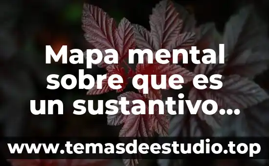 Mapa mental sobre que es un sustantivo para niños