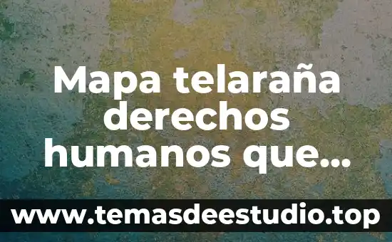Que es el organizador grafico telaraña 6 Mapa telaraña derechos humanos que es para que sirve