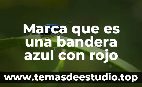Que es una marca legal 8 Marca que es una bandera azul con rojo