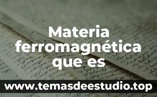 Materia ferromagnética que es