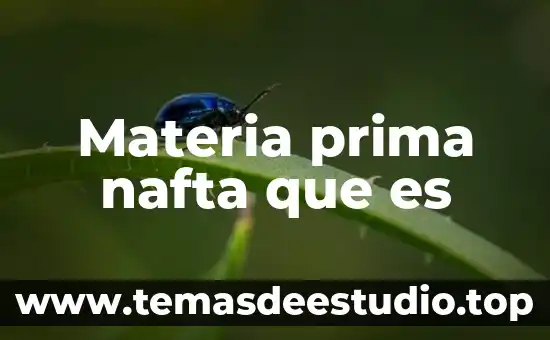 Qué es materia prima comestible 3 Materia prima nafta que es