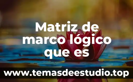 Matriz de marco lógico que es