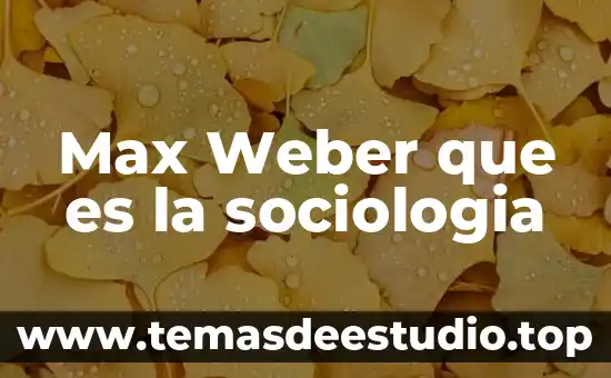 Que es la axiologia segun max scheler 3 Max Weber que es la sociologia