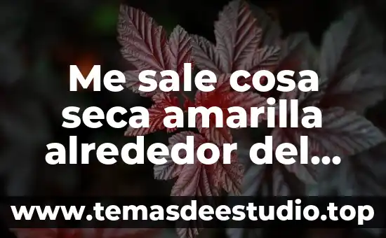 Sila orina sale como grasosa que es 3 Me sale cosa seca amarilla alrededor del glande que es