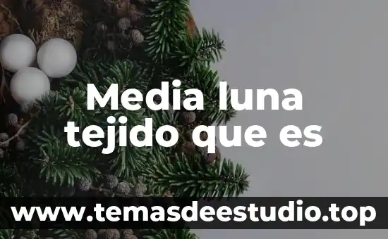 Que es el solo la luna y las estrellas 6 Media luna tejido que es