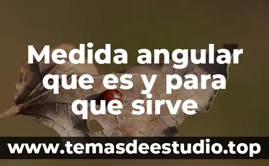 Medida angular que es y para que sirve