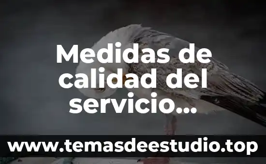 Qué es el servicio de TCP/IP NetBIOS Helper 7 Medidas de calidad del servicio definición y que es