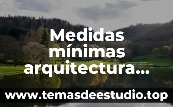 Qué es una cartucho glifo en arquitectura 8 Medidas mínimas arquitectura que es