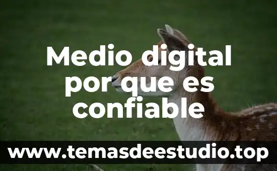 Qué es consultor digital 7 Medio digital por que es confiable