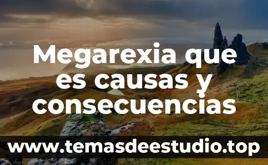 Qué es endometriosis causas y consecuencias 6 Megarexia que es causas y consecuencias