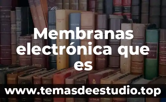 Que es la fiel firma electronica 6 Membranas electrónica que es