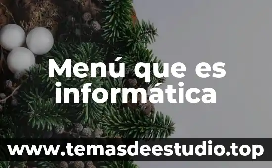Menú que es informática