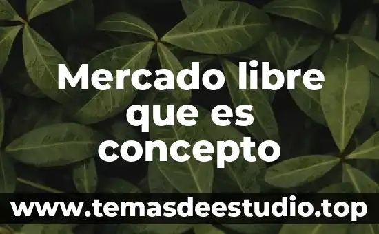 Mercado libre que es concepto